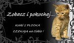 Obrazek
