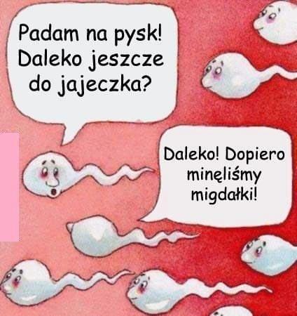 [Obrazek: 1476f2d2c2a28013.jpg]