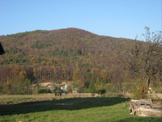 Obrazek