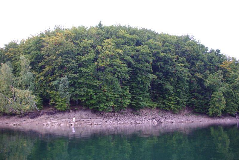http://images49.fotosik.pl/256/c1debd1ed48621ce.jpg