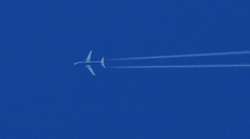 darmowy hosting obrazków