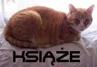 Obrazek