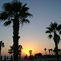 Cypr,Pafos - zachod slonca #Cypr #Pafos #morze #palma #ZachódSłońca