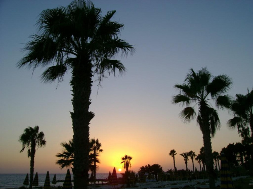 Cypr,Pafos - zachod slonca #Cypr #Pafos #morze #palma #ZachódSłońca