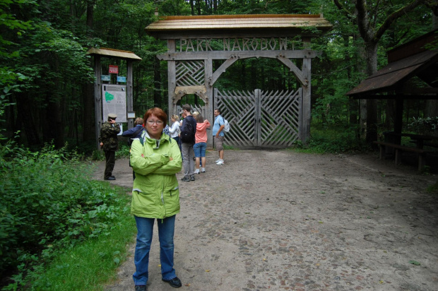 białowieża 2011