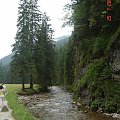 Rzeczka w Tatrach #góry #przyroda #rzeka #Tatry #woda