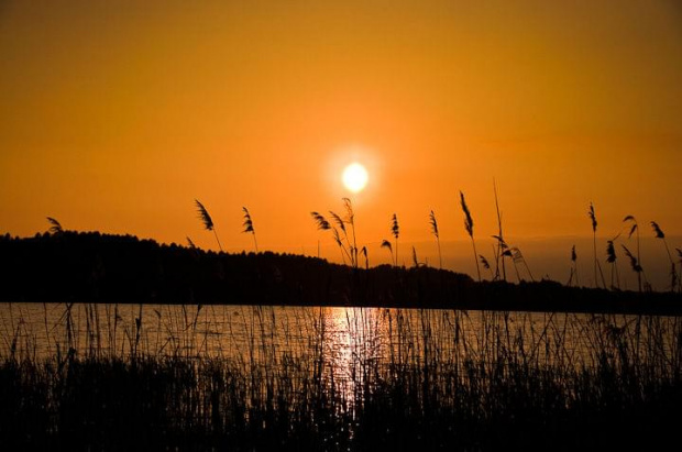 Zdjęcia wykonane podczas wakacji. Tatry, Mazury i spacer po łąkach.