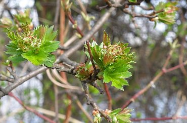 pzk #śmieszne #auto #dziewczyna #dziewczyny #extrafun #góry #harcerki #harcerski #harcerstwo #HarcerzeHot #hufiec