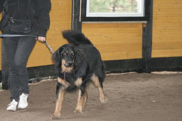 Szkolenie PT . Marzec-kwiecień 2009 (Nekielka)