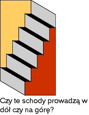 złudzenia