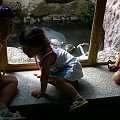 zaprosiłem 3 dzieci i mamę-ciocię do ZOO ale była sjesta zwierzęca i mało było szalonych zwierząt widać :) #ZOO