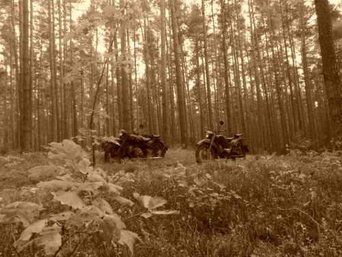spacer po lesie #UralSovietM72Boxer