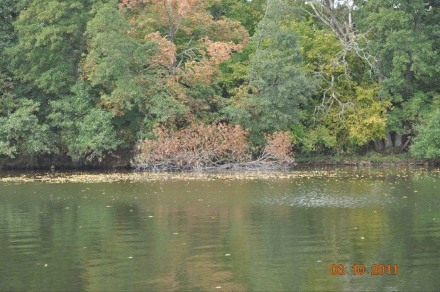 Mazury, jesien 2011