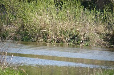 PZK zdjęcia wiosenne #krajobraz #mazowsze #warka #pilica