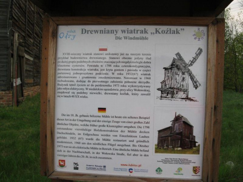 Lubiąż wiatrak kożlak