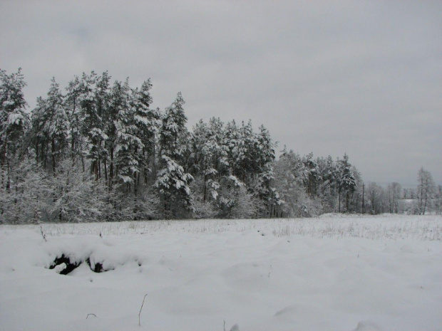 Zima na przedwiośniu #śnieg