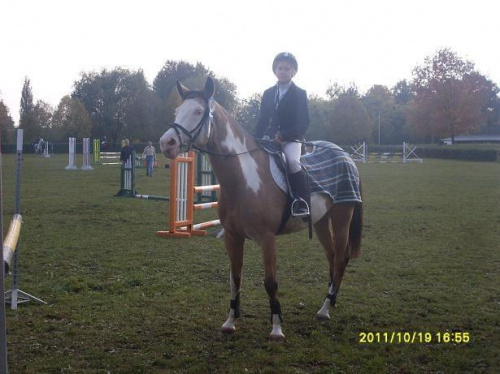 Cudak i Karola Zawody Hubertusowe Ostroga 2011