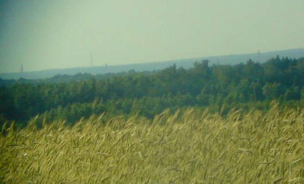 komin elektrocepłowni w Koluszkach k.Łodzi widziany z Góry Sławno. Na pierwszym planie, w dole Tomaszów Mazowiecki. Odległość do Koluszek to 45 km #Koluszki #komin #GóraSławno