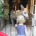 Sprookjeswonderland Enkhuizen