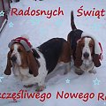 pocztówka