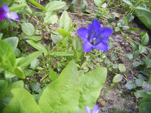 15.05.09