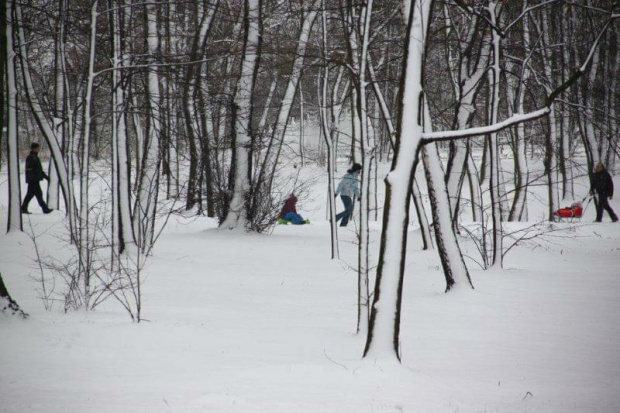 Świętochłowice w woj. śląskim. Grubość pokrywy śnieżnej 11 cm. 14 stycznia 2012 r. #GórnyŚląsk #Śląsk #śnieg #zima