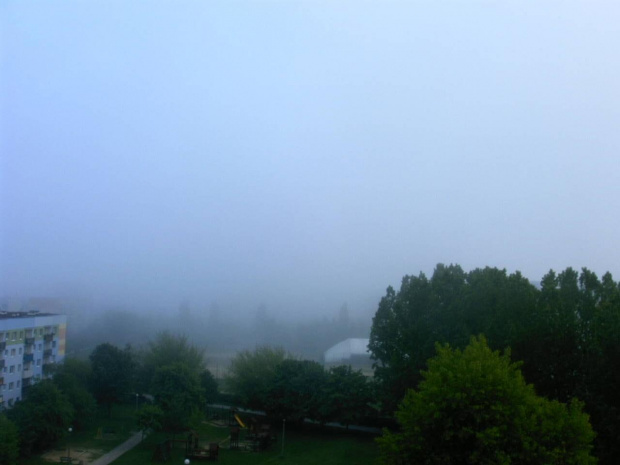 Wróciła mgła.... #Pogoda