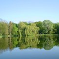 Staw w Arboretum Kórnickim .