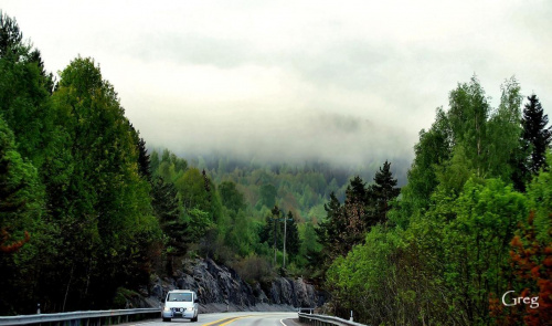 #Hamar #Norwegia #zielen #chmury #poranek