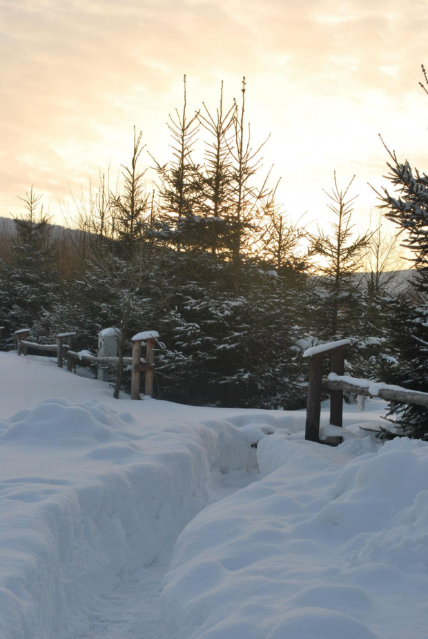 Bieszczady 2012