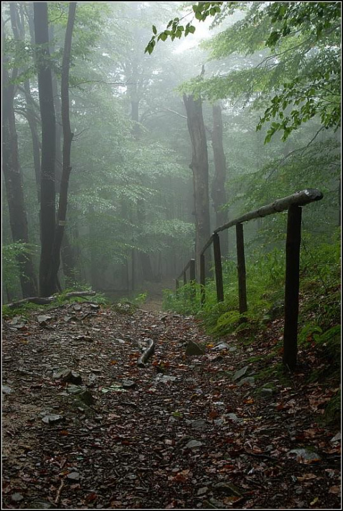 Bieszczady