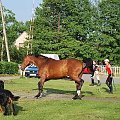 2009.05.21 Trening w Stodołach