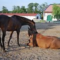 2009.05.21 Trening w Stodołach