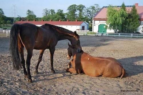 2009.05.21 Trening w Stodołach