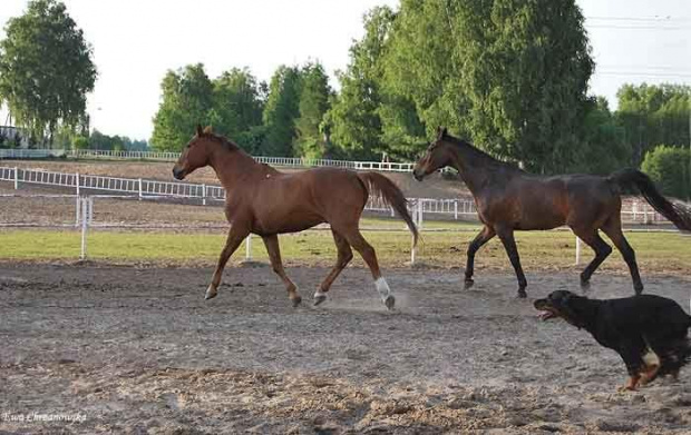 2009.05.21 Trening w Stodołach