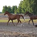 2009.05.21 Trening w Stodołach