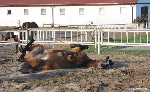 2009.05.21 Trening w Stodołach