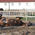 2009.05.21 Trening w Stodołach