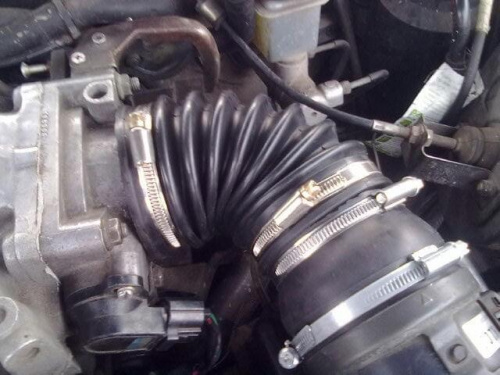 dolot 2.5 v6