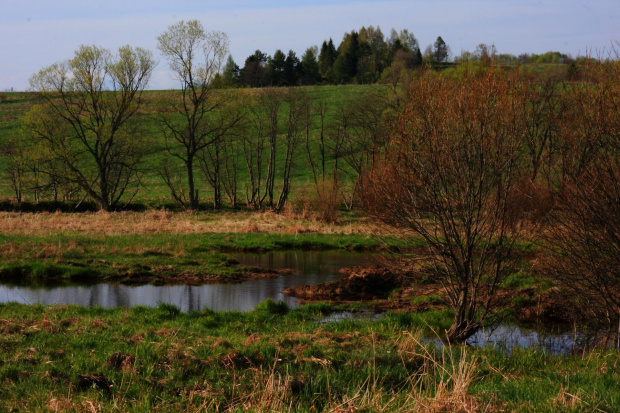 Torfowisko