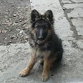 kama 04.03.2012