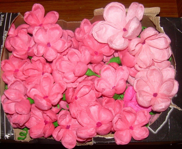 #KwiatyZBibuły #bibuła #krepina #dekoracje #hobby #KompozycjeKwiatowe #MojePrace #pomysły #Agnieszka #pasja #RobótkiRęczne #rękodzieło #moje