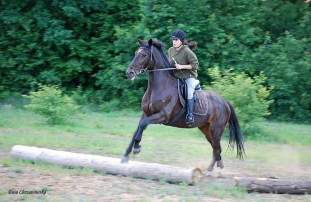 2009.06.03 Stodoły, nowa trasa