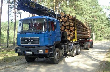 MAN #TransportDrewna