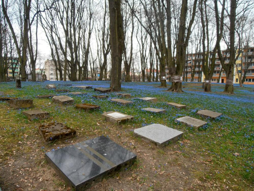 Nieczynny cmentarz w Giżycku #cmentarz #tablice #nagrobki #cebulice #park