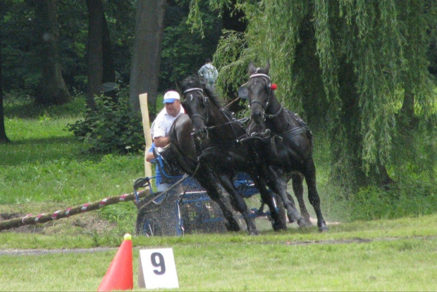 VIII Parada Konna III Wielka Pniewska