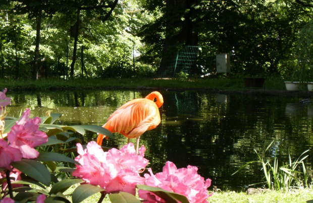 Zoo Wrocław :)