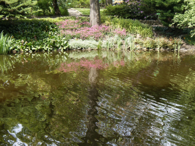 Ogród Botaniczny - Wrocław