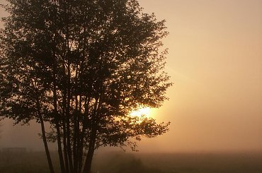 #ranek #mgła #WschódSłońca #rów