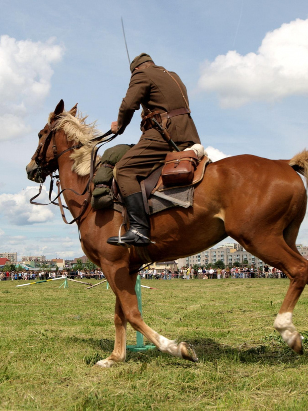 IX Piknik Kawaleryjski w Suwałkach #kawaleria #PiknikKawaleryjski #Suwałki #konie